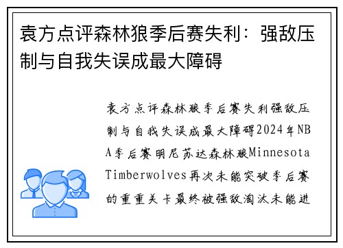 袁方点评森林狼季后赛失利：强敌压制与自我失误成最大障碍
