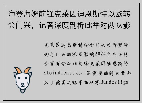 海登海姆前锋克莱因迪恩斯特以欧转会门兴，记者深度剖析此举对两队影响