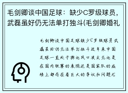 毛剑卿谈中国足球：缺少C罗级球员，武磊虽好仍无法单打独斗(毛剑卿婚礼)