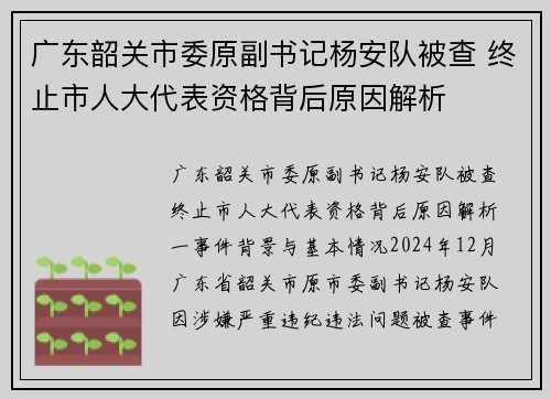 广东韶关市委原副书记杨安队被查 终止市人大代表资格背后原因解析